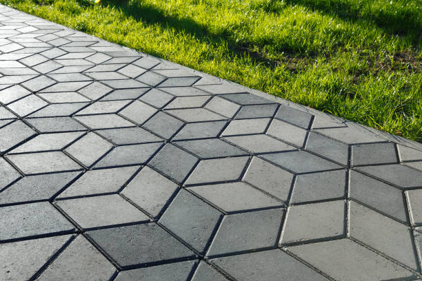 Best Local Driveway Pavers  in Lake Cherokee, TX